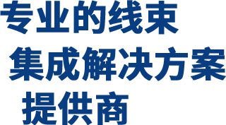 中1-1